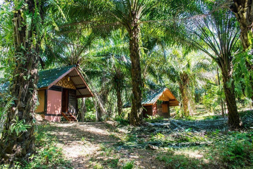 Khao Sok Silver Cliff Resort Khao Sok National Park Exterior photo