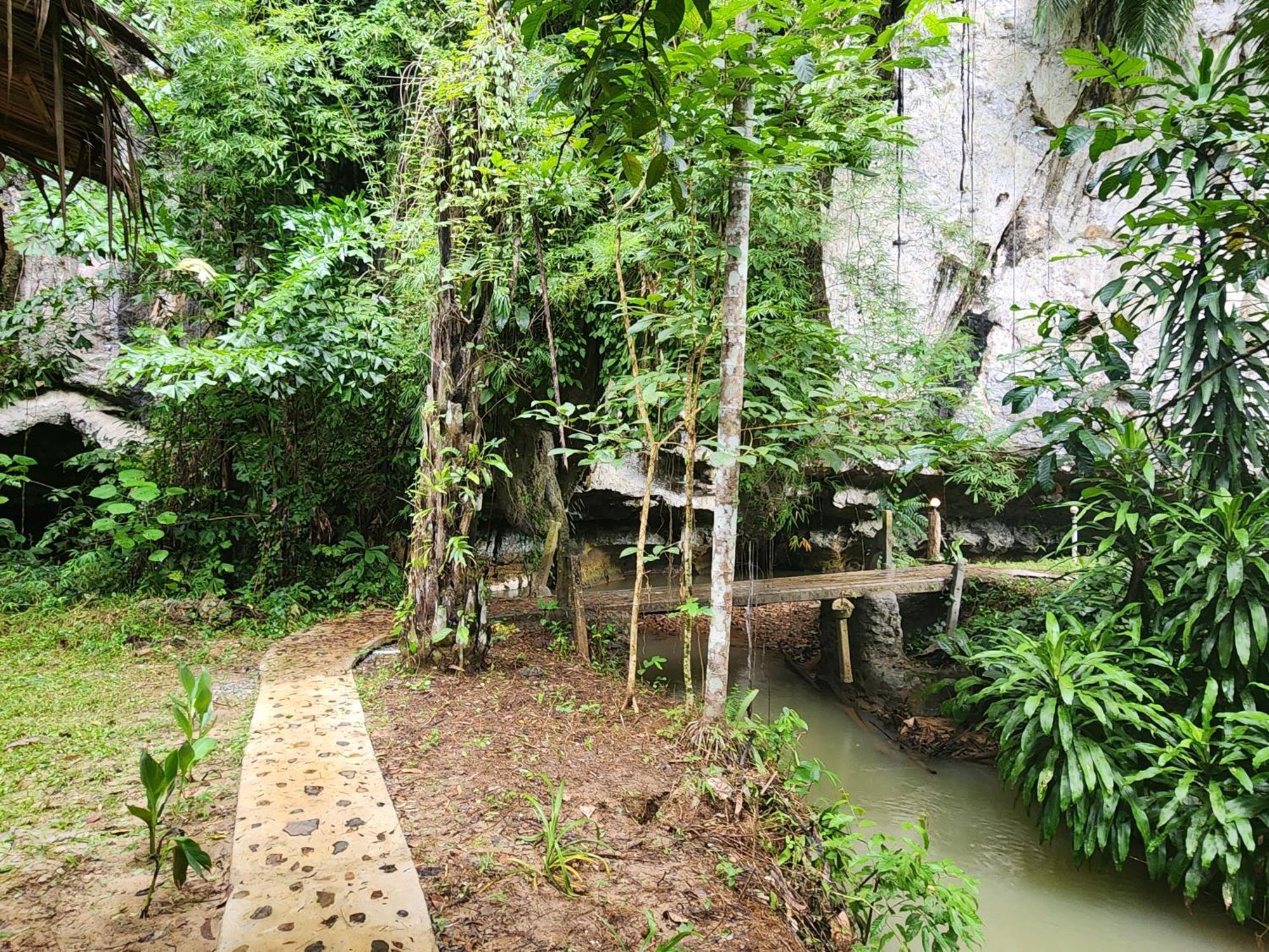 Khao Sok Silver Cliff Resort Khao Sok National Park Room photo