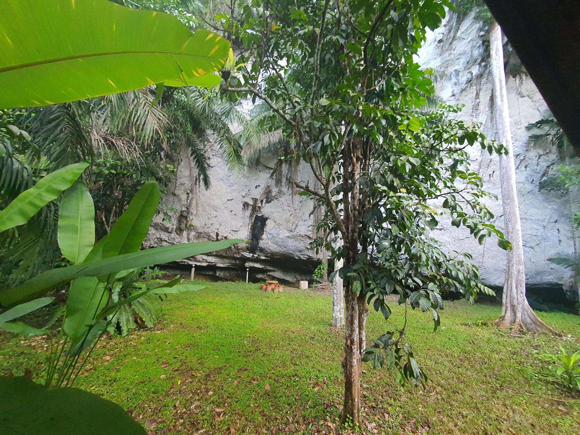 Khao Sok Silver Cliff Resort Khao Sok National Park Room photo